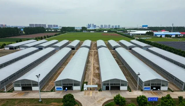 技术培训中的创新技术选型关键要素分析